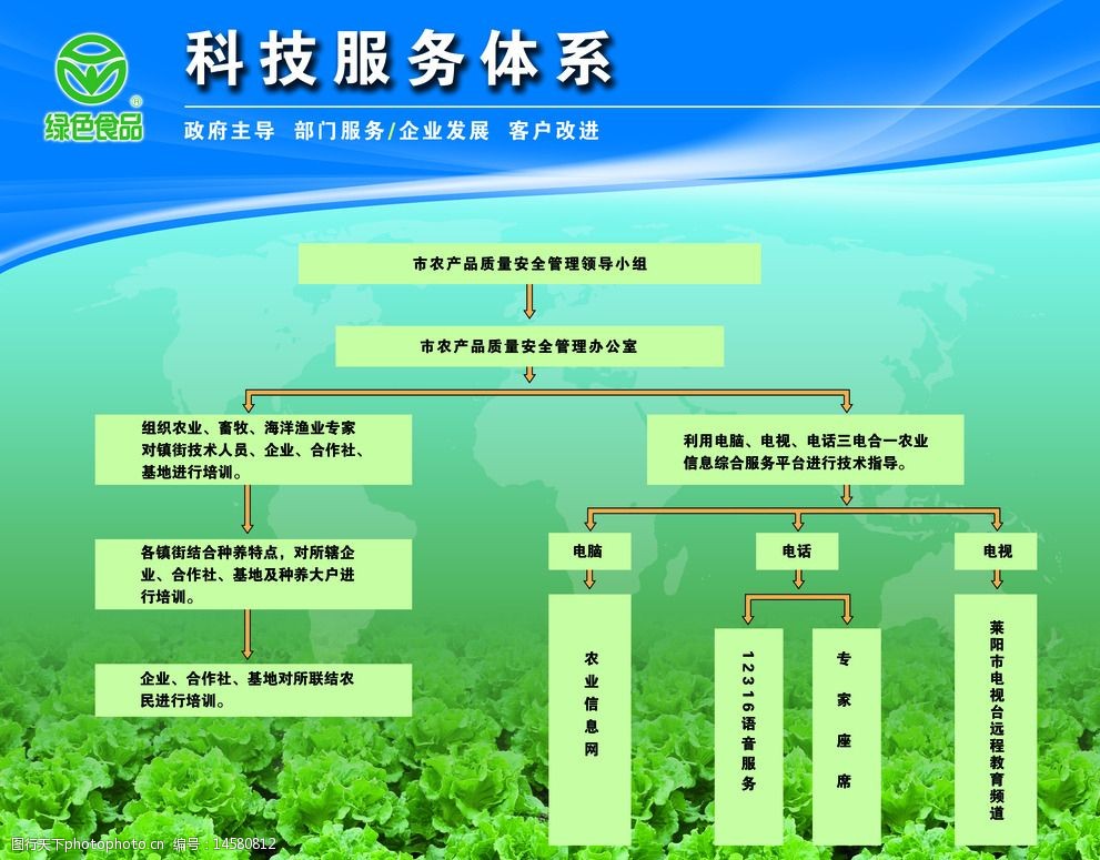 科技服務體系下的軟件開發 架構、流程與技術解析